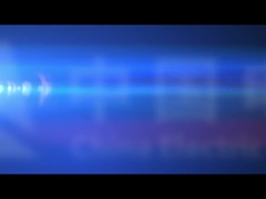 Household Appliance Refrigerator Production equipment —Linear cabinet foaming line